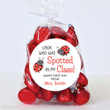 Ladybugs "Spotted In My Class" First Day of School Stickers