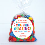 "You Are Amazing! Have A Really Great Day!" Stickers