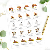 Horses "This Book Belongs To" Bookplate Labels