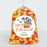 Pumpkin and Witch Happy Halloween Stickers