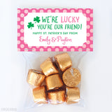 Pink "I'm Lucky You're My Friend" St. Patrick's Day Paper Tags and Bags