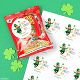 Leprechaun Happy St. Patrick's Day Stickers