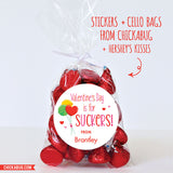 "Valentine's Day is for SUCKERS" Stickers