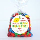 Main Squeeze Valentine's Day Stickers