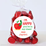 Apple & Worm "Happy You're In My Class" Back to School Stickers