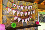 Pink Watermelon Party Banner (INSTANT DOWNLOAD)