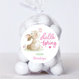 "Hello Spring" Bunny and Butterfly Stickers