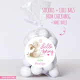 "Hello Spring" Bunny and Butterfly Stickers