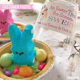 "Easter Treat for Someone Sweet" Gift Labels - Pink