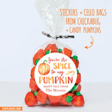 "You're The Spice To My Pumpkin" Fall Stickers