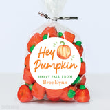 "Hey Pumpkin" Fall Stickers