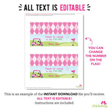 Pink Golf Party Treat Bag Labels (EDITABLE INSTANT DOWNLOAD)
