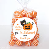 Black Cat and Pumpkin Halloween Stickers
