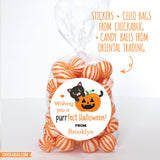 Black Cat and Pumpkin Halloween Stickers