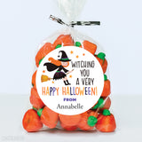 Halloween Witch on Broom Stickers