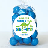 Dinosaur Last Day of School Stickers