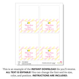 Pink Lemonade Party Table Tent Cards (EDITABLE INSTANT DOWNLOAD)
