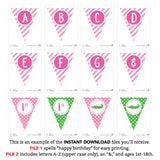 Pink Alligator Party Banner (INSTANT DOWNLOAD)