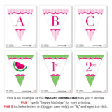 Pink Watermelon Party Banner (INSTANT DOWNLOAD)