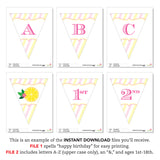 Pink Lemonade Party Banner (INSTANT DOWNLOAD)
