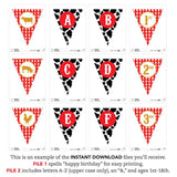 Farm Party Banner (INSTANT DOWNLOAD)