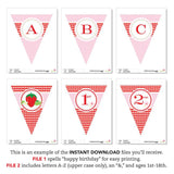 Strawberry Party Banner (INSTANT DOWNLOAD)