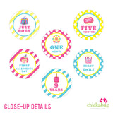 Pink Carnival Party Photo Banner Kit (INSTANT DOWNLOAD)