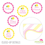 Pink Lemonade Party Photo Banner Kit (INSTANT DOWNLOAD)