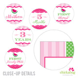 Pink Watermelon Party Photo Banner Kit (INSTANT DOWNLOAD)