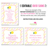 Pink Lemonade Party Signs (EDITABLE INSTANT DOWNLOAD)