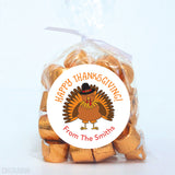 Thanksgiving Turkey Stickers