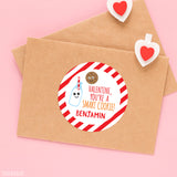"You're a Smart Cookie" Valentine's Day Stickers