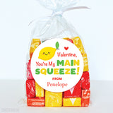 Main Squeeze Valentine's Day Stickers