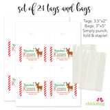 Reindeer Kisses Striped Christmas Paper Tags and Bags