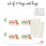 Reindeer Kisses Christmas Paper Tags and Bags