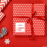 Certified Nice Sticker