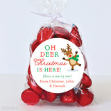 "Oh Deer, Christmas is Here!" Christmas Stickers