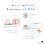 To Child From Santa Christmas Gift Labels - Special Delivery