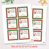Santa Claus Fill-In Christmas Gift Labels