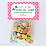 Pink "I'm Lucky You're My Friend" St. Patrick's Day Paper Tags and Bags
