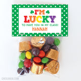 "I'm Lucky To Have You In My Class" St. Patrick's Day Paper Tags and Bags