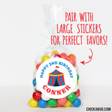 24 Cello Favor Bags with Twist Ties (4"x8")