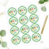 Leprechaun Poop St. Patrick's Day Stickers