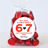 "On A Scale of 1 to 5 You're A 6 7" Valentine's Day Stickers