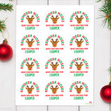 "Reindeer Noses" Christmas Stickers