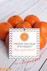 Free Printable "Orange You Glad It's Friday" Gift Tags (INSTANT DOWNLOAD)