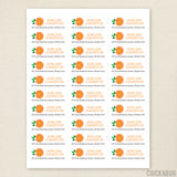 Florida Orange Address Labels