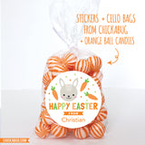 Cute Easter Bunny and Carrots Stickers