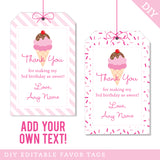 Ice Cream Party Favor Tags (EDITABLE INSTANT DOWNLOAD)