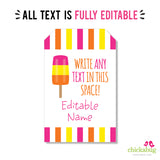 Popsicle Party Favor Tags (EDITABLE INSTANT DOWNLOAD)